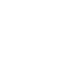 EZShield Solo Shield Black and White Logo